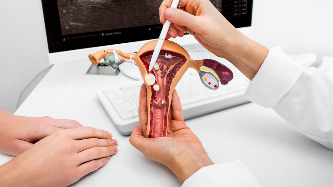 Tắc vòi trứng là gì? Nguyên nhân, triệu chứng, điều trị và cách phòng ngừa